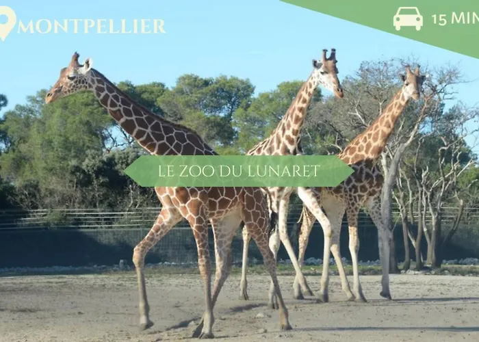 Manon, 2 Ch, Parking, Tram Croix D'argent Au Pied, Sleep-in-montpellier *